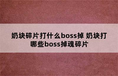 奶块碎片打什么boss掉 奶块打哪些boss掉魂碎片